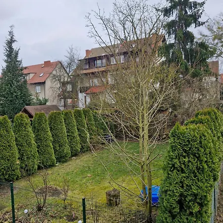 Las Arkonski Family Szczecin